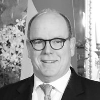 Albert herceg
